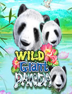 เล่น pg ผ่าน เว็บ กับสูตรการเล่นที่ใช้ได้ผล